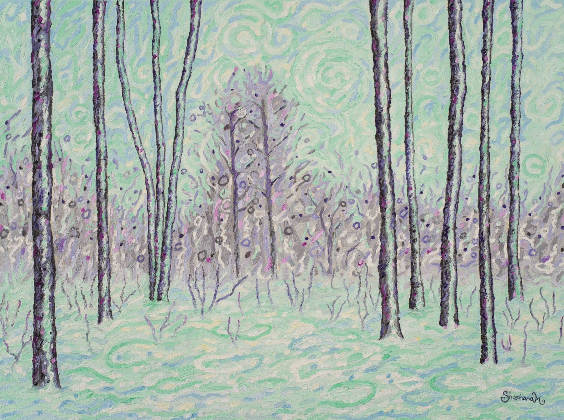 Snow on the Escarpment